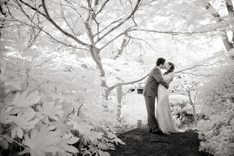 Infrared Photography, Dallas Infrared Photographer, Japanese Gardens